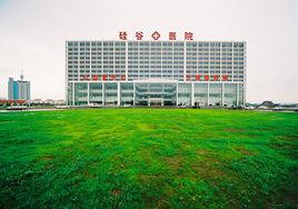 吉林矽谷醫院 吉林矽谷醫院