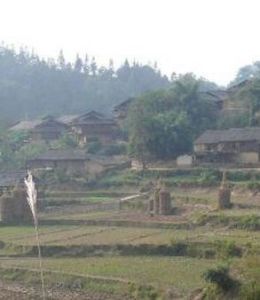 大坪坡下寨自然村 大坪坡下寨自然村