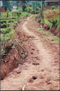 大營新邑村 大營新邑村