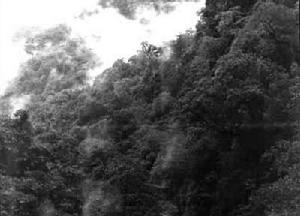 墨脫自然保護區