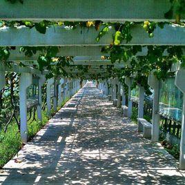 秀山美地休閒農莊 秀山美地休閒農莊