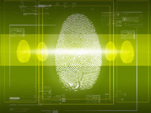 指紋識別