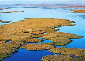 冬青湖旅遊區 冬青湖旅遊區