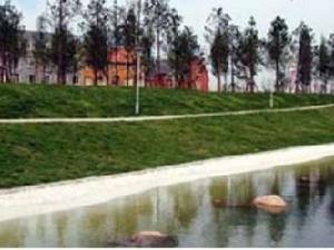 堡鎮石島花苑 堡鎮石島花苑