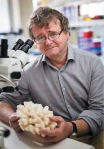 特瑞·修斯 特瑞·修斯