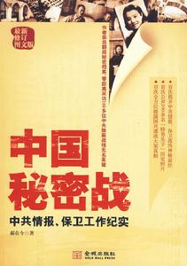 《中國秘密戰》