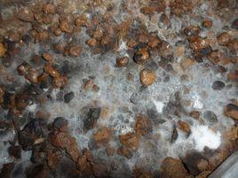 自然發酵 自然發酵