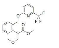 啶氧菌酯 啶氧菌酯