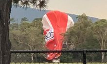 2&middot;19澳洲熱氣球墜落事故