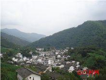 山口村[安徽省黃山市徽州區楊村鄉下轄村]