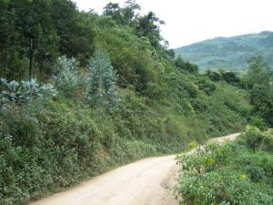 咱咧自然村 咱咧自然村