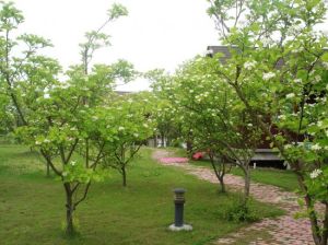 杭州秀山美地休閒農莊 杭州秀山美地休閒農莊