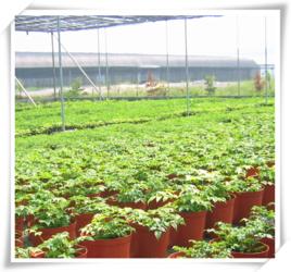 農業生態學[農業學科]