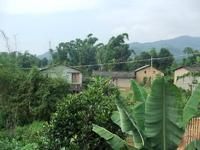 努力自然村 努力自然村