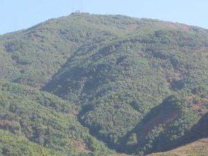 王家園子自然村 王家園子自然村