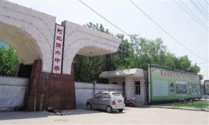 張志門中學 張志門中學