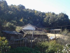 石桌子自然村 石桌子自然村