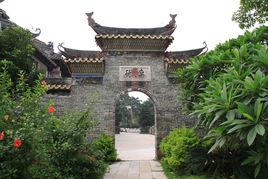 大嶺村[廣東廣州市番禺區石樓鎮下轄村]