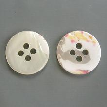 馬蹄螺清晰圖片