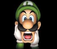 雙胞胎路易 雙胞胎路易