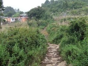 小密枝村 小密枝村