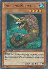 穿刺海鱔 穿刺海鱔