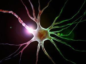 神經元修復療法體系 神經元修復療法體系