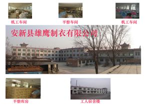 安新縣雄鷹製衣有限公司 安新縣雄鷹製衣有限公司