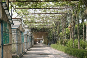 廣州蔬菜公園 廣州蔬菜公園