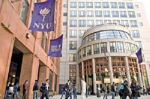紐約大學帝勢藝術學院 紐約大學帝勢藝術學院