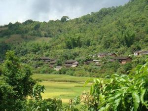 糯娥寨自然村 糯娥寨自然村