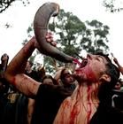 維京海盜節 維京海盜節