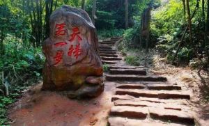 愛情天梯電影 愛情天梯電影