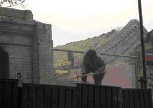 正在拆除的孟端胡同45號院