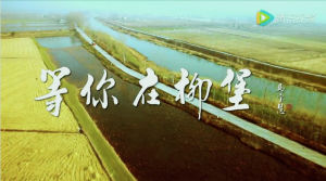 等你,在柳堡 等你,在柳堡