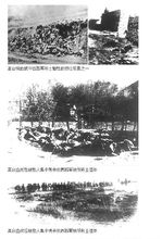 高台血戰後的中國工農紅軍西路軍遺體