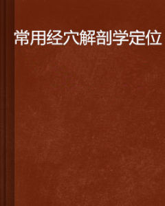 常用經穴解剖學定位 常用經穴解剖學定位