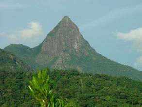 樂東黎族自治縣 