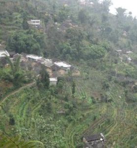 楊家窩村 楊家窩村