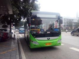 榮昌公交107路 榮昌公交107路