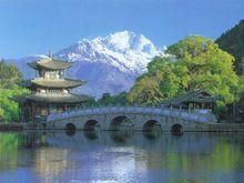 伊利爾&middot;沙里寧