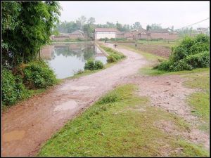 董和楊家營村 董和楊家營村