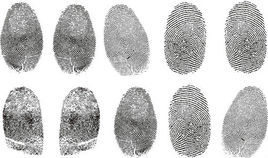 指紋[指紋（人手指上的紋路）]