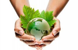 綠色服務 綠色服務