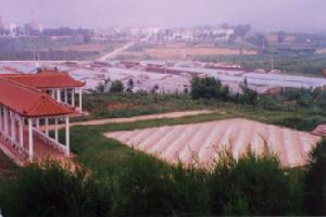 東上村休閒廣場