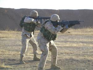 美國第10山地師 美國第10山地師