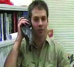 鞋子手機 鞋子手機