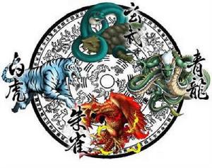 四象廿八星宿 四象廿八星宿