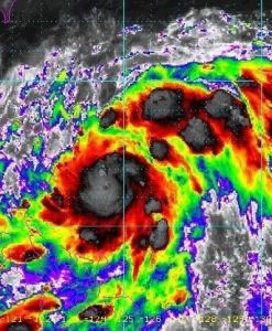 颱風妮坦 颱風妮坦