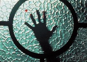 《鬼別墅》 《鬼別墅》